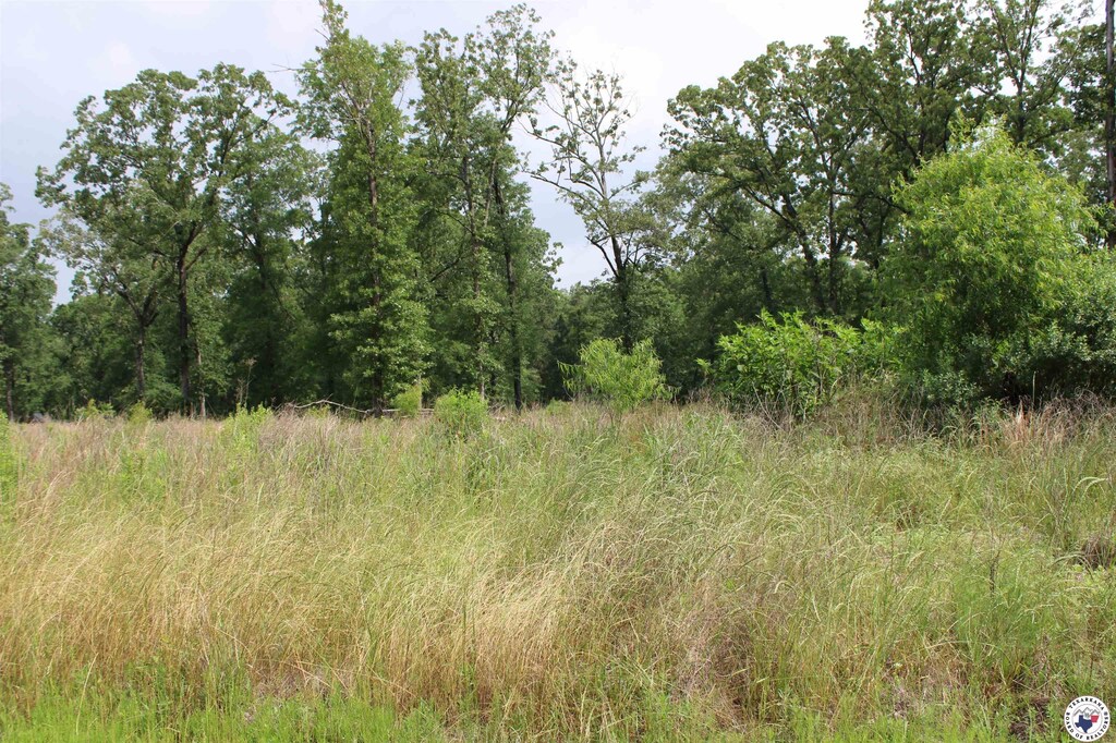 60 Akin Oak Dr, Texarkana, TX 75503 - photo 1