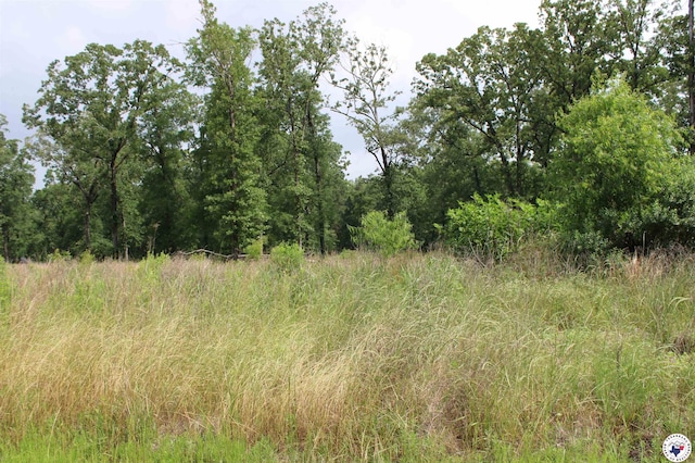 60 Akin Oak Dr, Texarkana, TX 75503 - photo 1