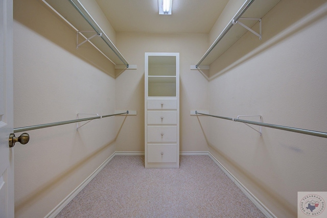 walk in closet featuring light colored carpet