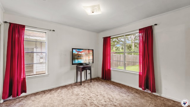 119 Hall St, New Boston, TX 75570 - carpeted empty room featuring plenty of natural light, crown molding, and baseboards