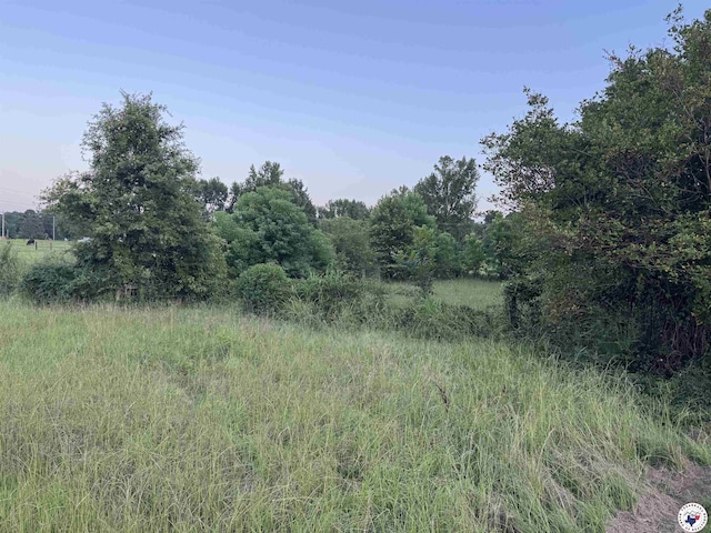 3730 Genoa Rd, Texarkana, AR 71854 - photo 8