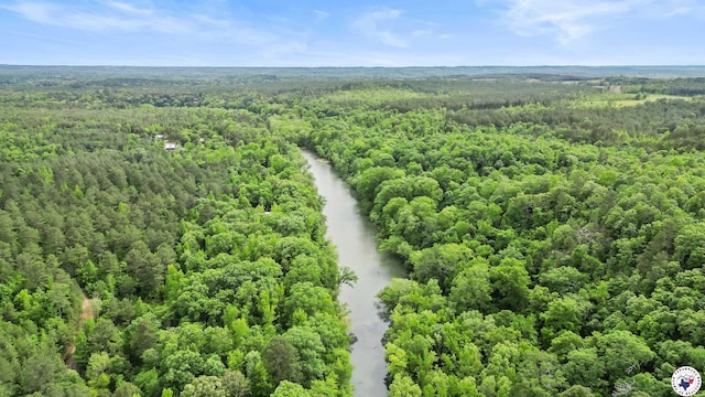 228 Old Factory Site Rd, Murfreesboro, AR 71958 - bird's eye view of a forest