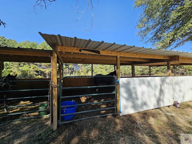 view of horse barn