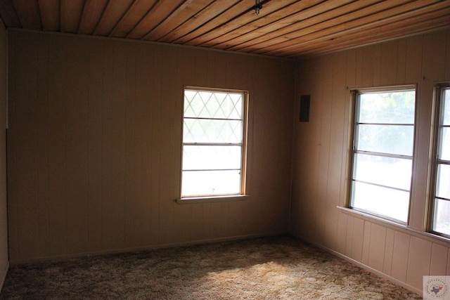 empty room with wood ceiling, carpet, and wood walls