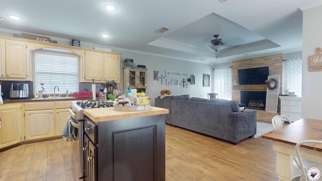 142 Corley Cir, Wake Village, TX 75501 - kitchen featuring light brown cabinetry, a sink, crown molding, ceiling fan, and light wood finished floors