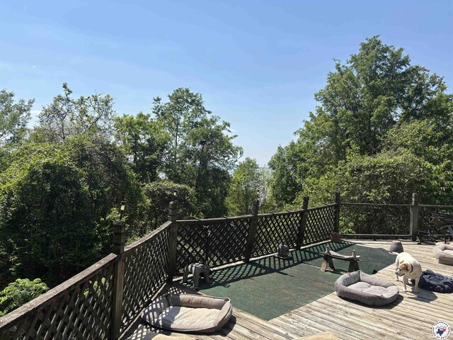 280 Southlake Rd, Saratoga, AR 71859 - photo 24