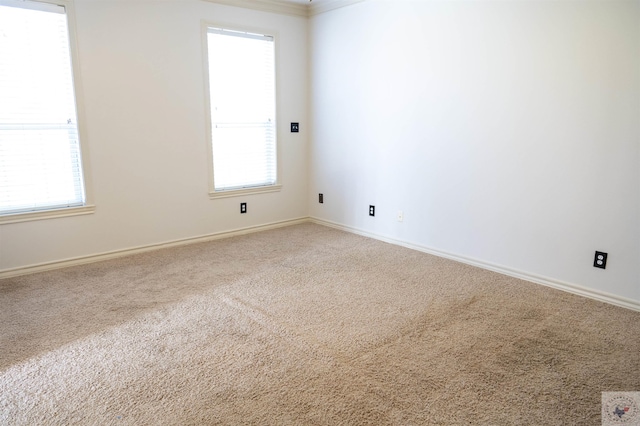 carpeted spare room with a wealth of natural light and ornamental molding