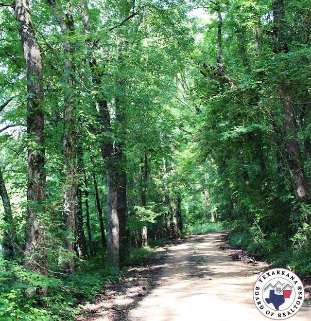 TBD Cr 3208, New Boston, TX 75570 - photo 3