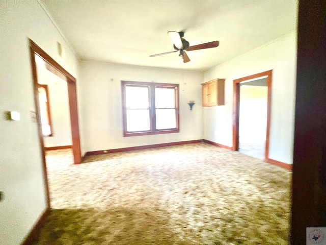 spare room featuring ceiling fan, ornamental molding, and carpet floors