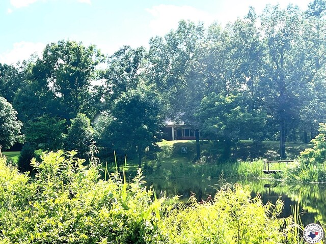 5922 Joey Ln, Texarkana, AR 71854 - view of local wilderness with a nearby body of water