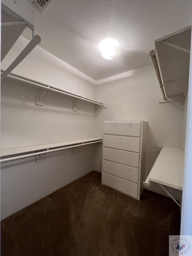 spacious closet with dark colored carpet