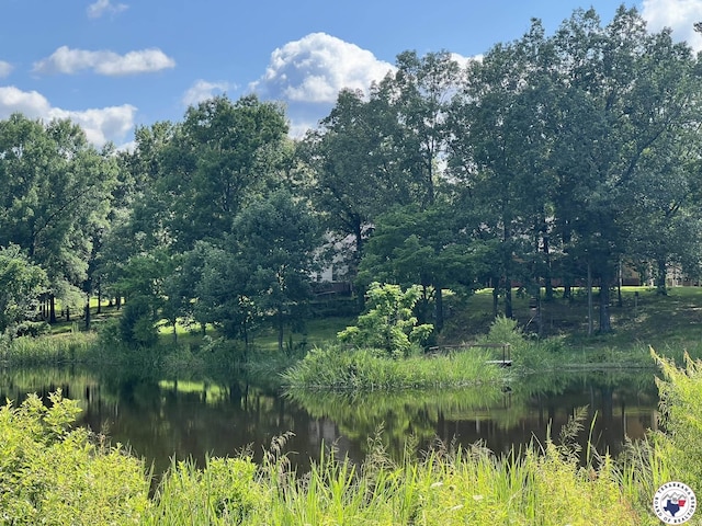 5922 Joey Ln, Texarkana, AR 71854 - view of undeveloped land with a nearby body of water