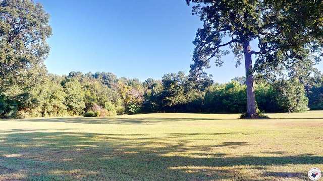 11 Cardinal Ln, Wake Village, TX 75501 - photo 19