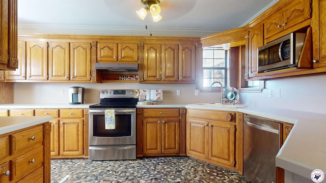 11 Cardinal Ln, Wake Village, TX 75501 - photo 9