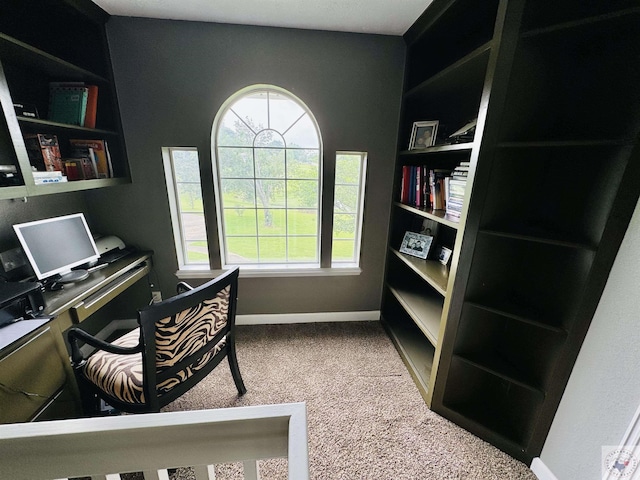 view of carpeted office space