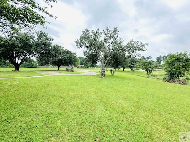 8205 Coyote Trl, Texarkana, TX 75503 - photo 27