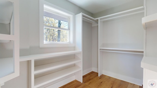 spacious closet featuring hardwood / wood-style floors