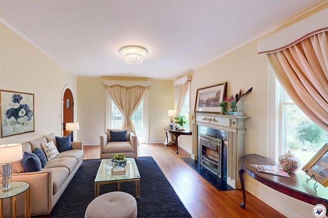 2300 Laurel St, Texarkana, AR 71854 - living room featuring wood finished floors, a high end fireplace, and ornamental molding