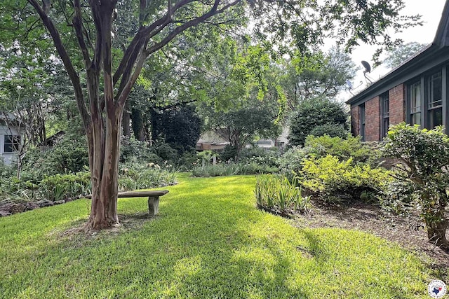 2300 Laurel St, Texarkana, AR 71854 - view of green lawn