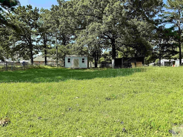 view of yard with a storage shed