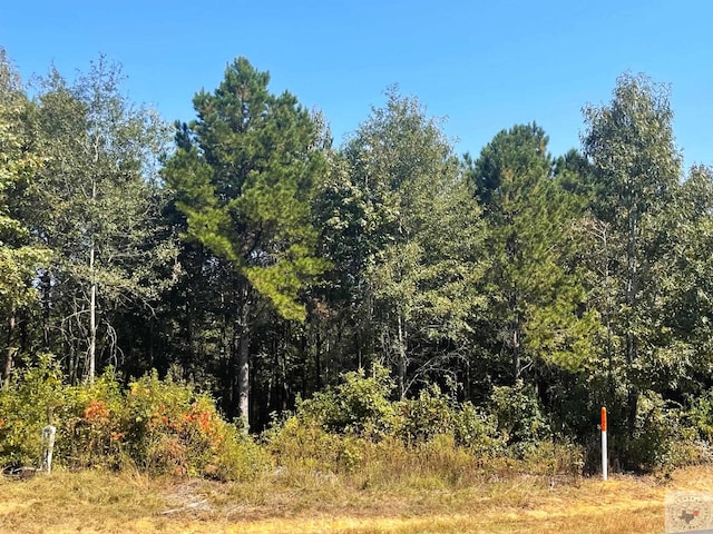 Listing photo 2 for LOT46 Creekwood Addition, Texarkana AR 71854