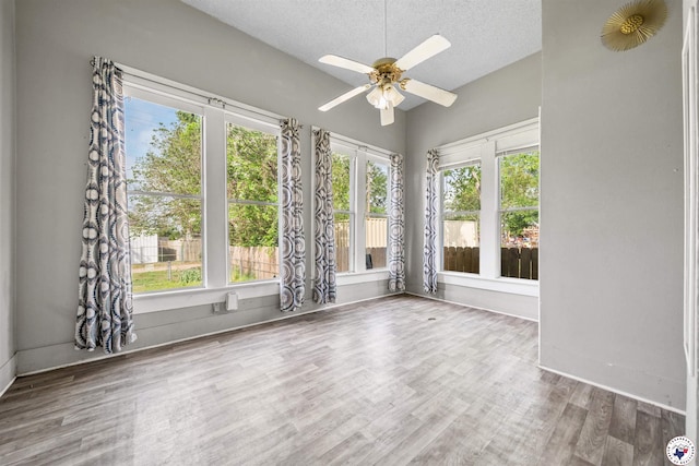 spare room featuring plenty of natural light, a textured ceiling, wood finished floors, and ceiling fan