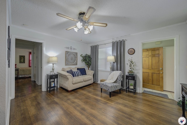 3916 Sabine Ave, Texarkana, TX 75503 - living room with crown molding, wood finished floors, ceiling fan, and a textured ceiling