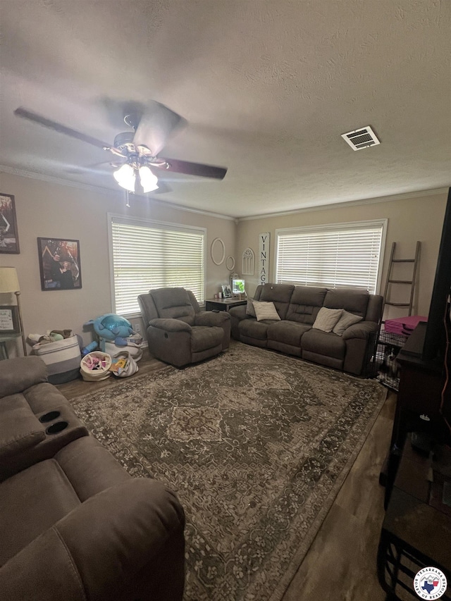 409 Hickory St, Queen City, TX 75572 - photo 7