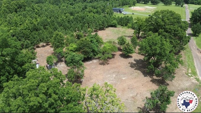 2781 Fm 2327, Queen City, TX 75572 - photo 3