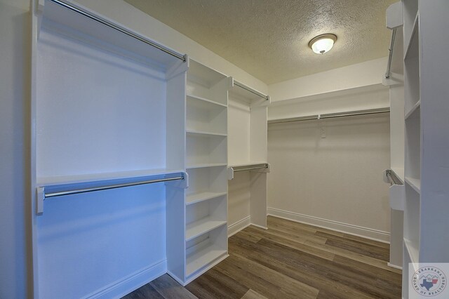 walk in closet with dark hardwood / wood-style flooring