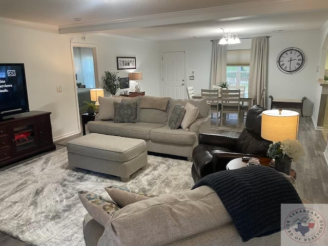 living room with hardwood / wood-style floors, a textured ceiling, and ornamental molding