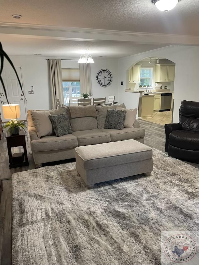 living room featuring sink, a textured ceiling, light hardwood / wood-style flooring, and crown molding