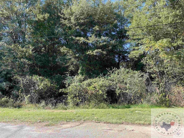 2007 Mill St, Texarkana TX, 75501 land for sale