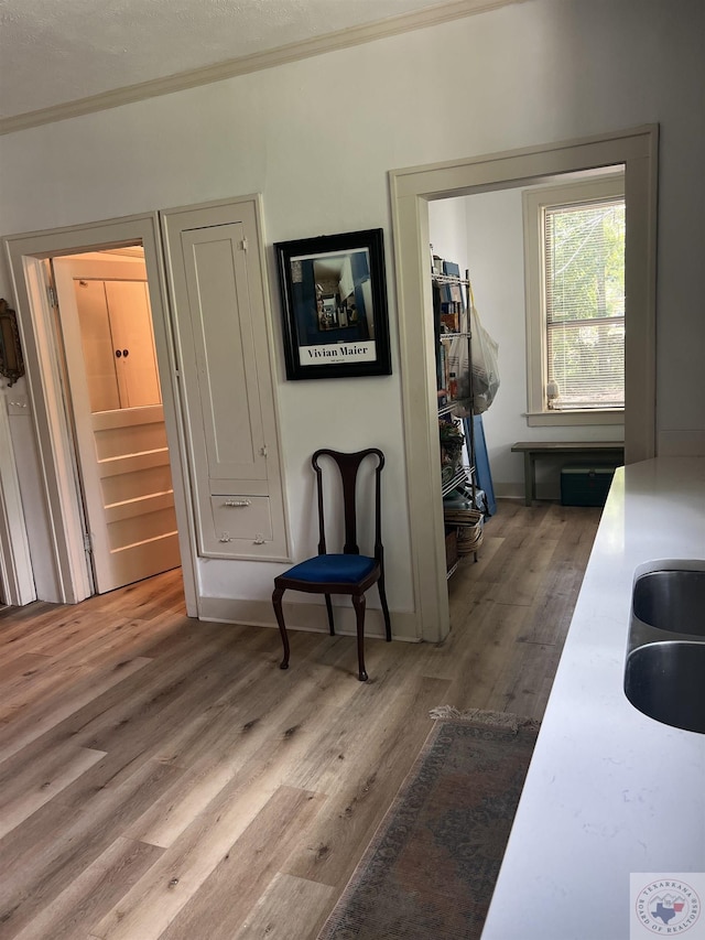 interior space featuring sink, wood-type flooring, and ornamental molding