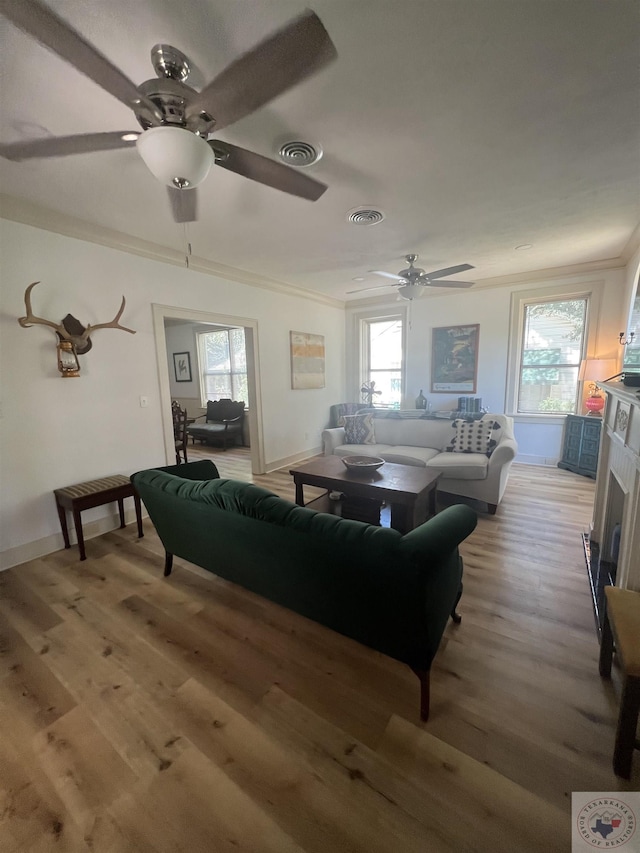 living room with hardwood / wood-style floors, ceiling fan, and ornamental molding