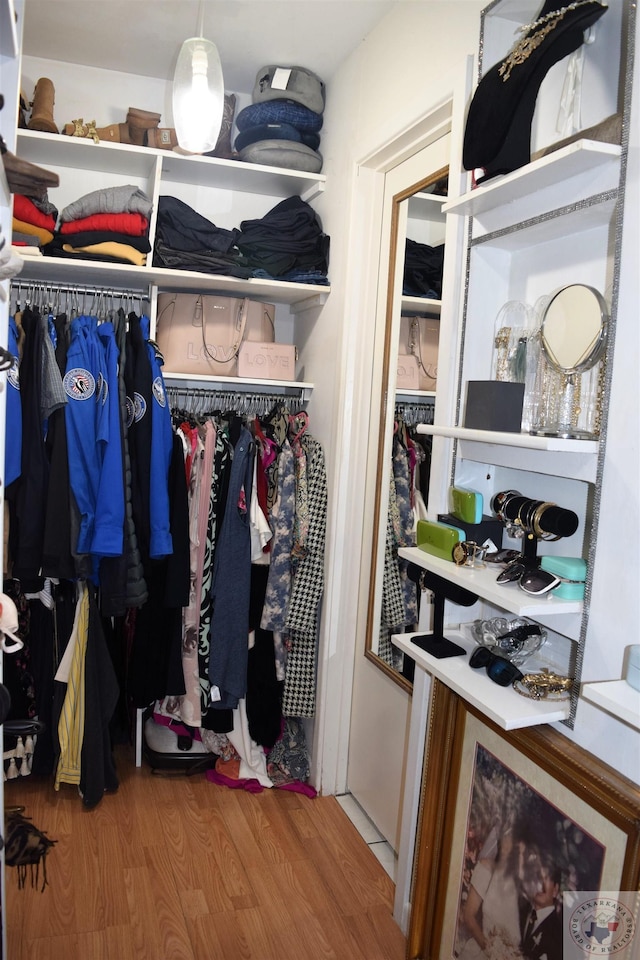 spacious closet featuring hardwood / wood-style flooring