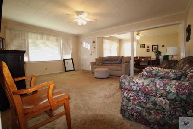 living room with ceiling fan, plenty of natural light, carpet, and ornamental molding