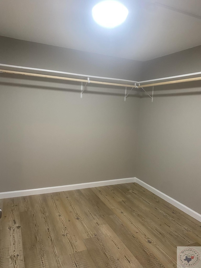 walk in closet with hardwood / wood-style flooring