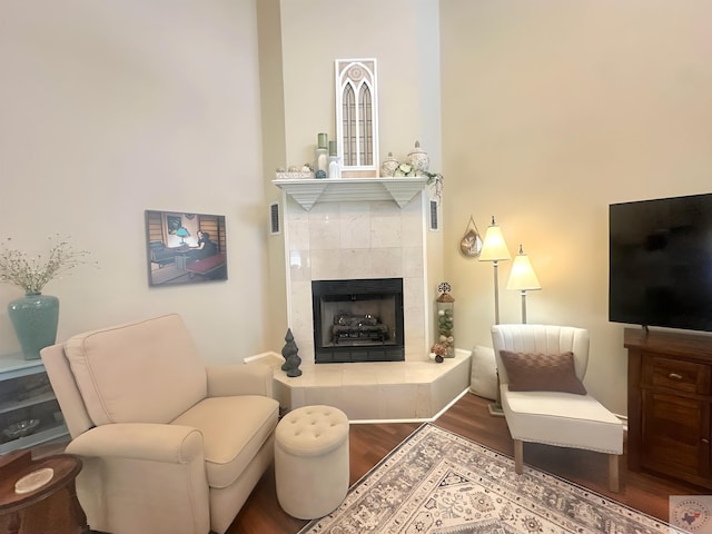 living room with a fireplace and wood-type flooring