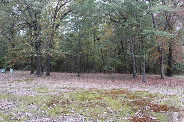 303 Peter Alan, Nash TX, 75569 land for sale