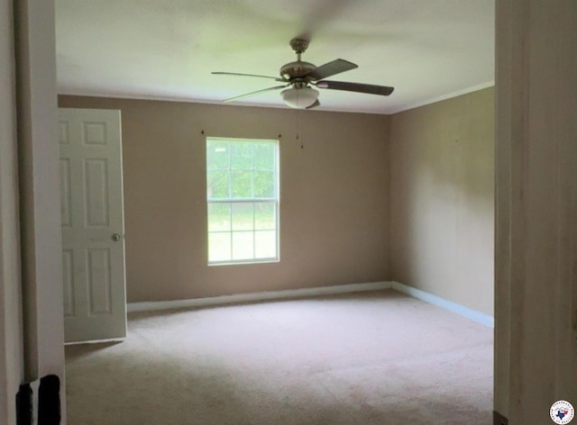 333 County Rd 1775, Mount Pleasant, TX 75455 - photo 4
