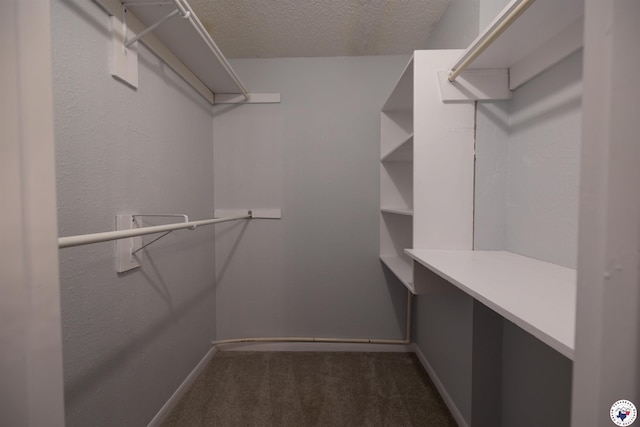 spacious closet with dark colored carpet