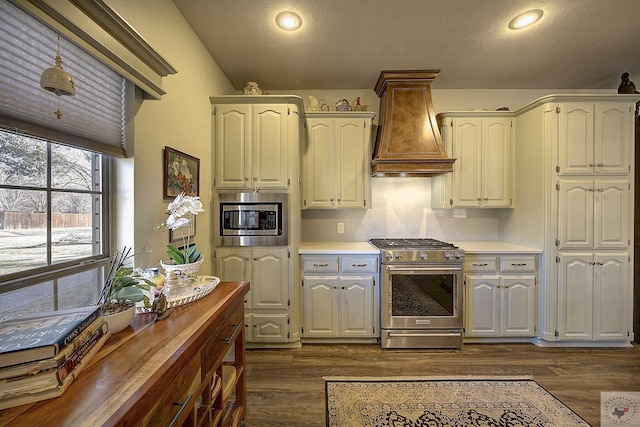 kitchen with premium range hood, dark wood-type flooring, a textured ceiling, and stainless steel appliances