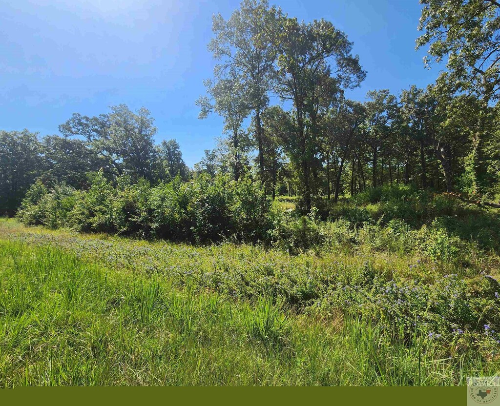 8.90 Oak Grove Pl, New Boston, TX 75570 - photo 2