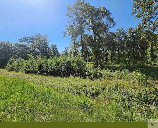 8.90 Oak Grove Pl, New Boston, TX 75570 - photo 2