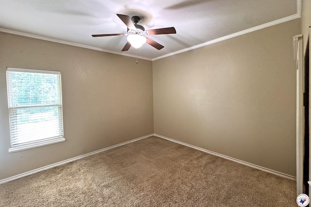 7 Coppercreek Cir, Texarkana, TX 75503 - spare room featuring a ceiling fan, carpet, ornamental molding, and baseboards