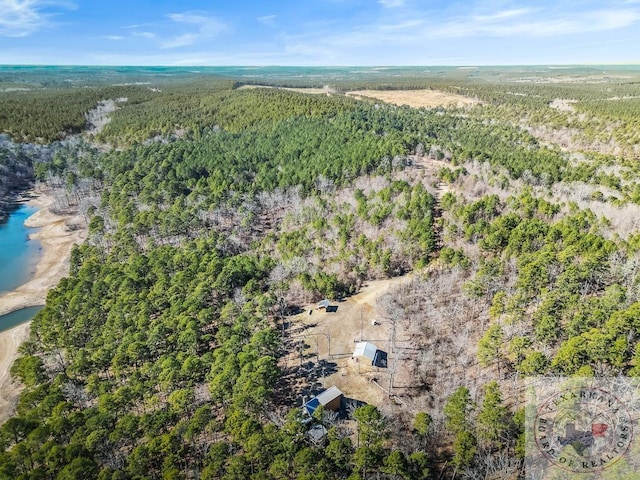 aerial view with a forest view