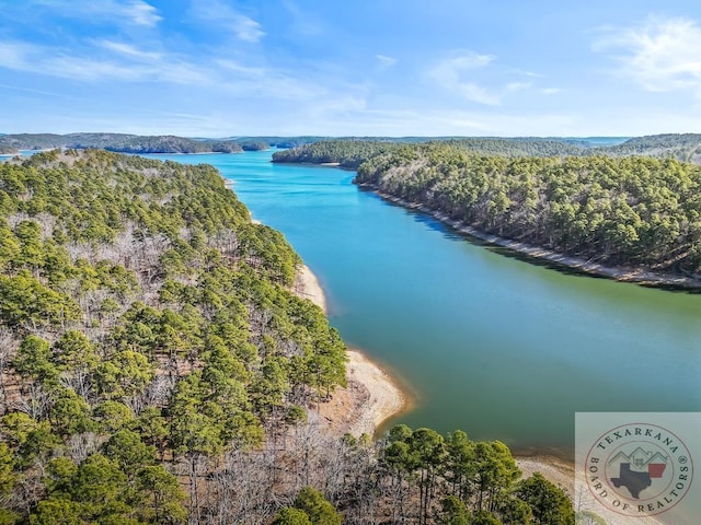 drone / aerial view featuring a wooded view and a water view