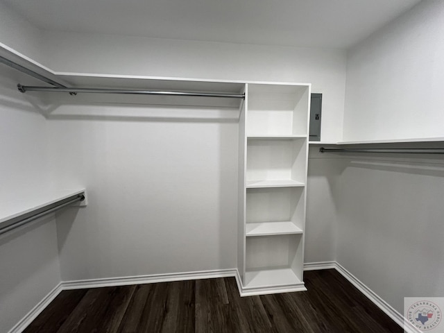 walk in closet with dark wood finished floors