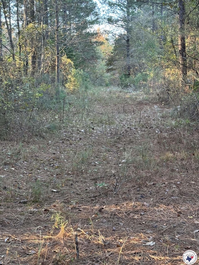 n/a S 989, Texarkana, TX 75501